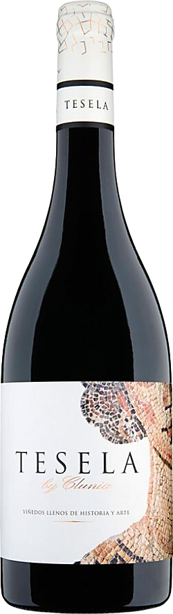 Clunia, Tesela, 2021