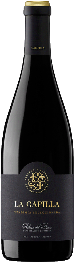 Marques de Caceres, Finca La Capilla V.S, 2023