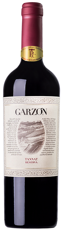 Bodega Garzon, Reserva Tannat, 2020