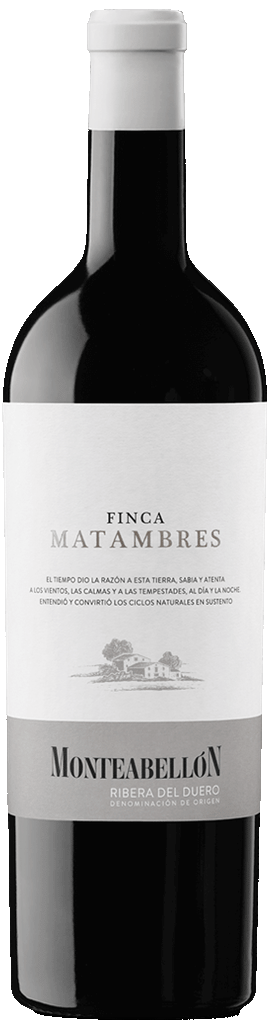 Monteabellon, Finca Matambres, 2021