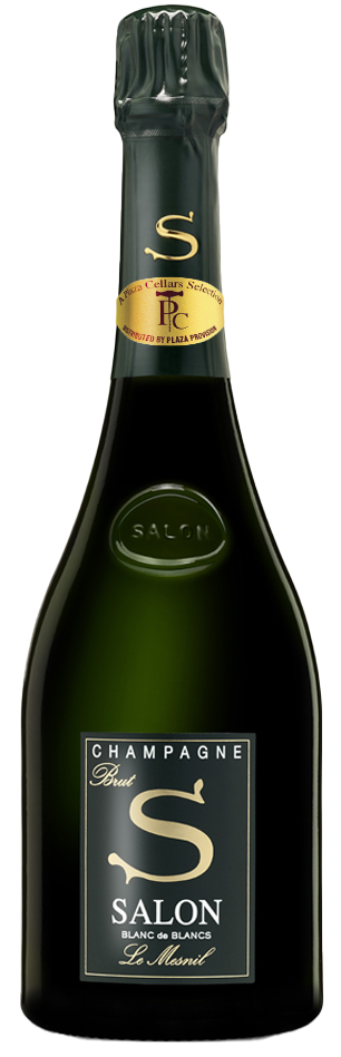 Salon, Le Mesnil, 2013