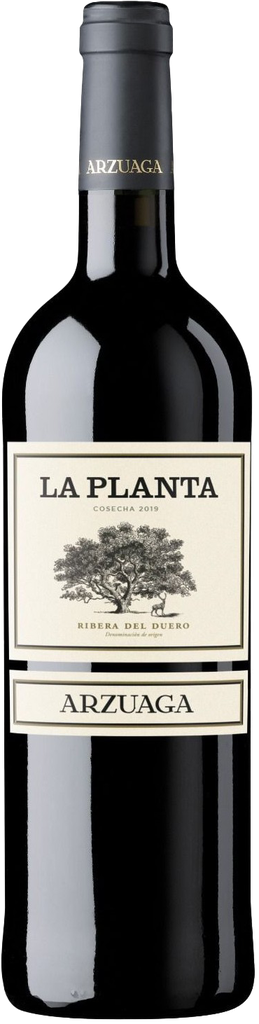 Arzuaga Navarro, La Planta, 2023